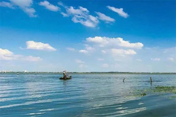 1669086344322265.jpg 5.jpg