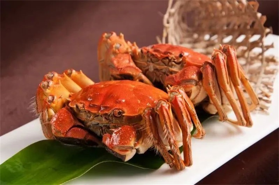 1669087023425799.jpg 2.jpg