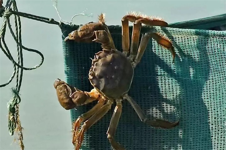 1669095986714561.jpg 2.jpg